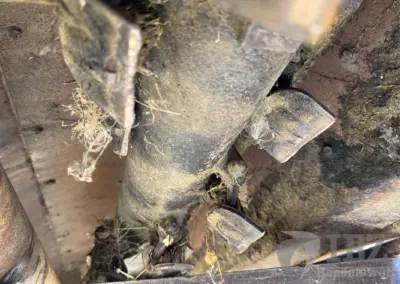 Iseki SF 310 Geräteträger mit Müthing Schlegelmulcher